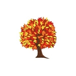 Autumn Tree